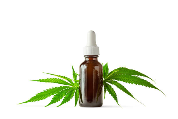 Things to Know before ingesting CBD Oil
